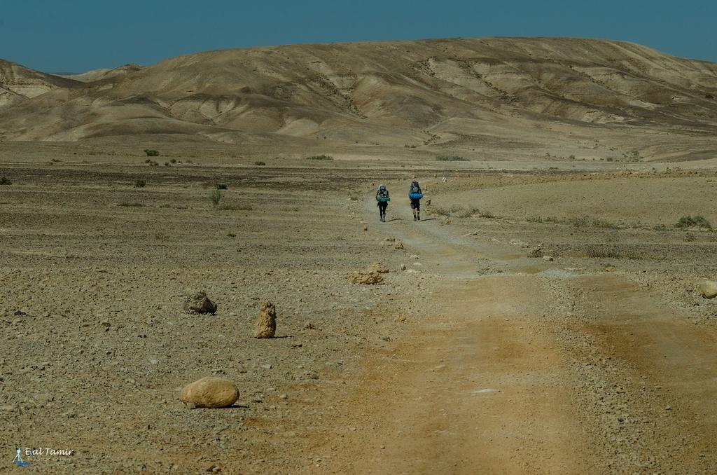 Desert Picture Arad Zewnętrze zdjęcie