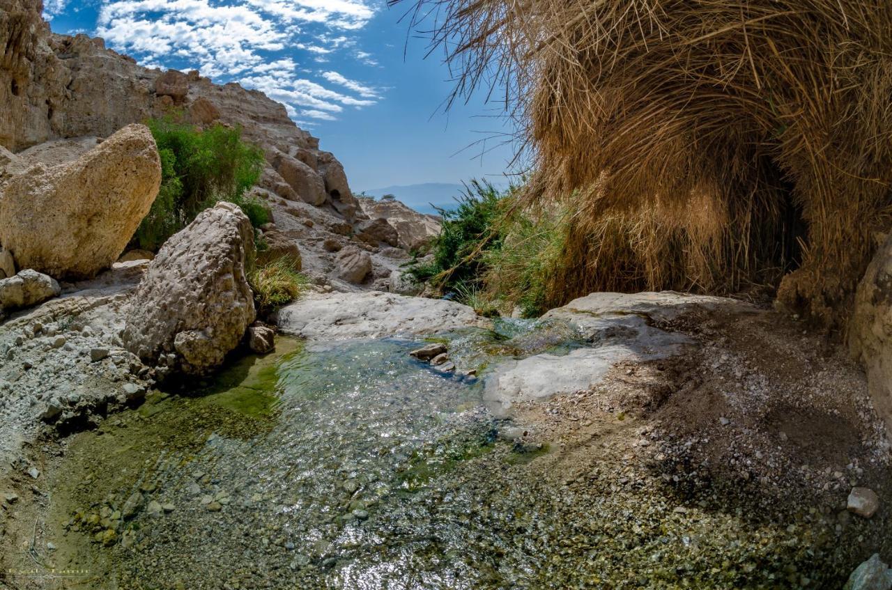 Desert Picture Arad Zewnętrze zdjęcie