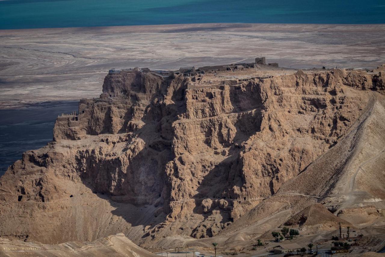 Desert Picture Arad Zewnętrze zdjęcie