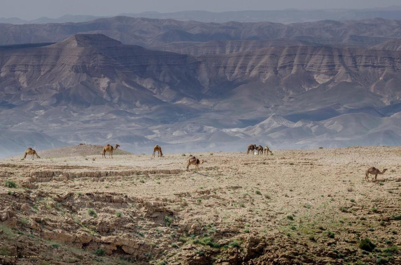 Desert Picture Arad Zewnętrze zdjęcie