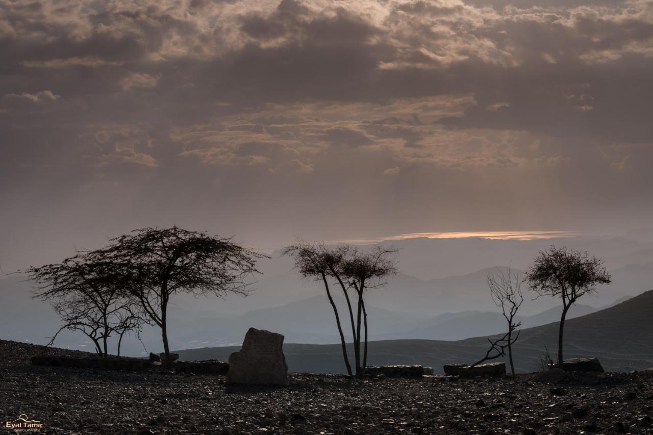 Desert Picture Arad Zewnętrze zdjęcie